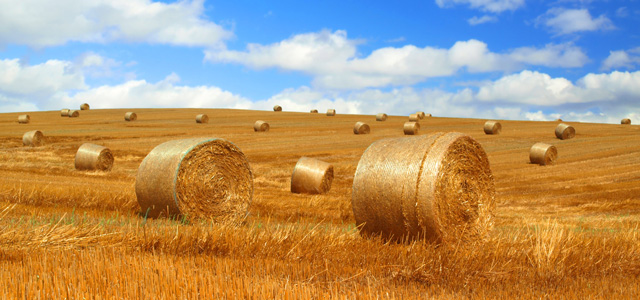 DAFM Updates Agrifood & the Bioeconomy