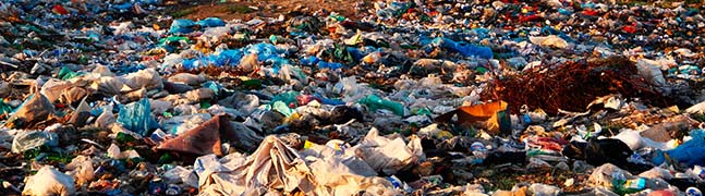 Biodegradable Municipal Waste Statistics for Ireland 2010 – 2016