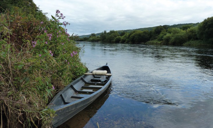 Constructed wetlands of Ireland – new database now online