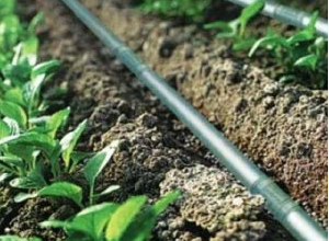 Clean technology firm taps 3D printing for irrigation
